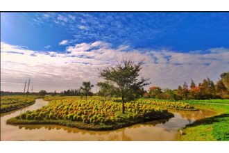 花開海上公園訂購(gòu)木質(zhì)垃圾桶